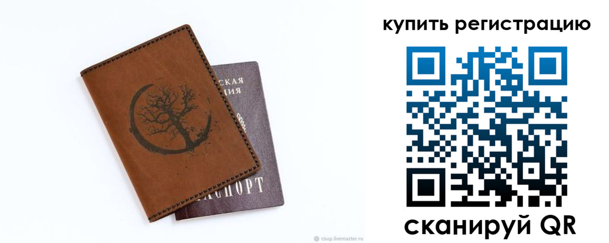 где прописаться в Струнино