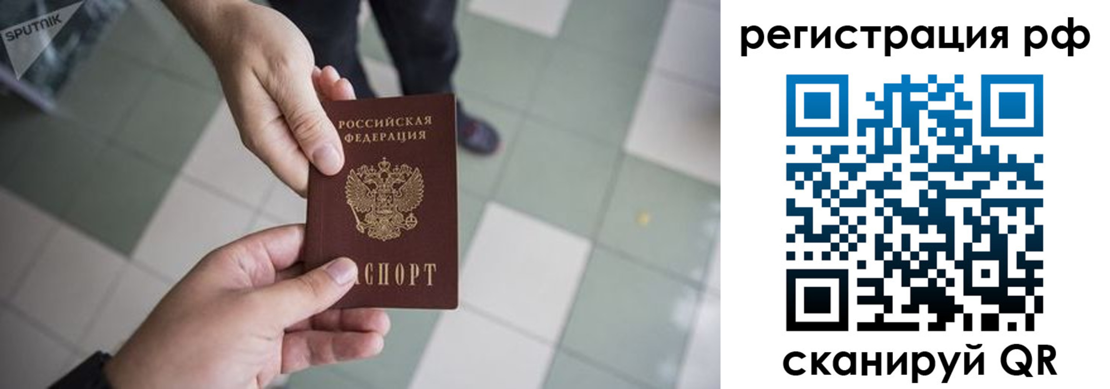 прописка гарантия в Струнино
